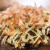 お好み焼き鉄板BAR かぐら